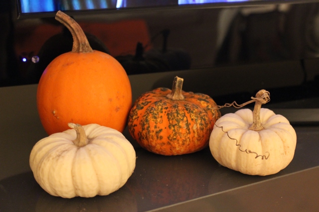 fall pumpkin display